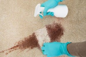 Cleaning Dog Urine on Carpet 